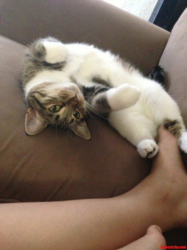She Wants You to Rub Her Belly.