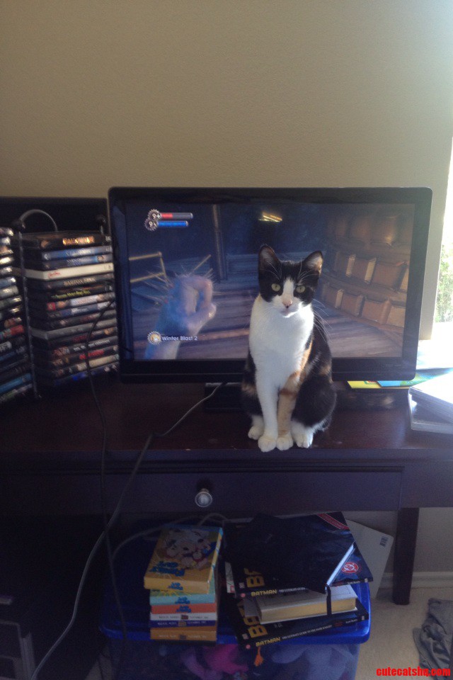 She Won't Let Me Play.