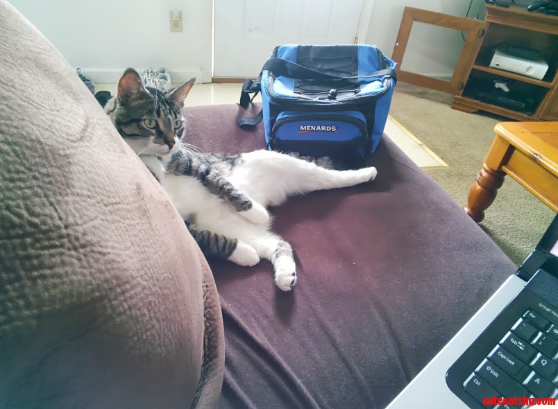 Sheldon S Favorite Place to Sit.