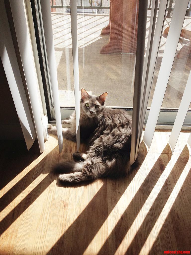 Shes Starting to Like the New Place