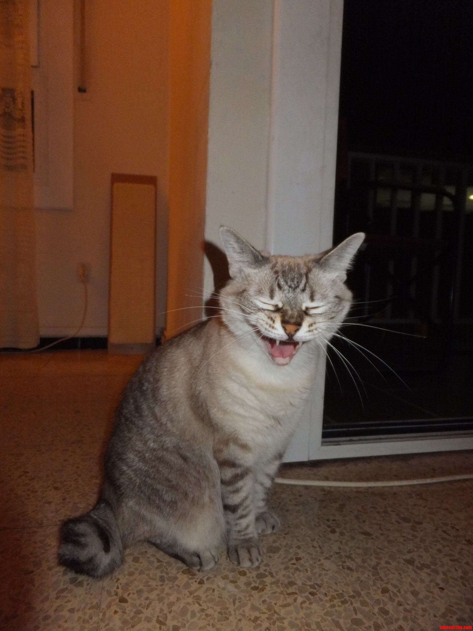 So I Said  Smile for the Camera. This Is the Best She Could Do.