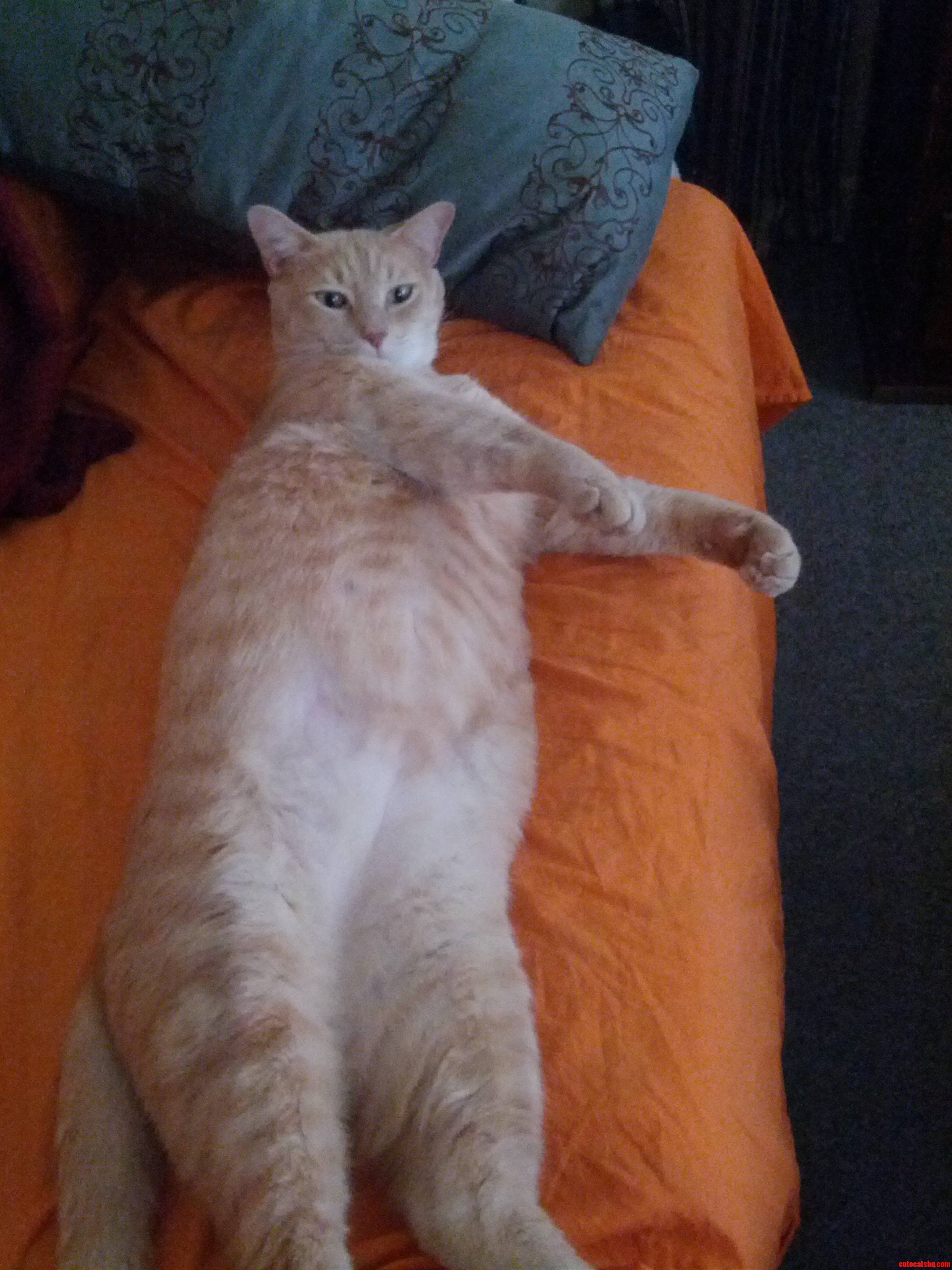 So Sorry to Disturb You