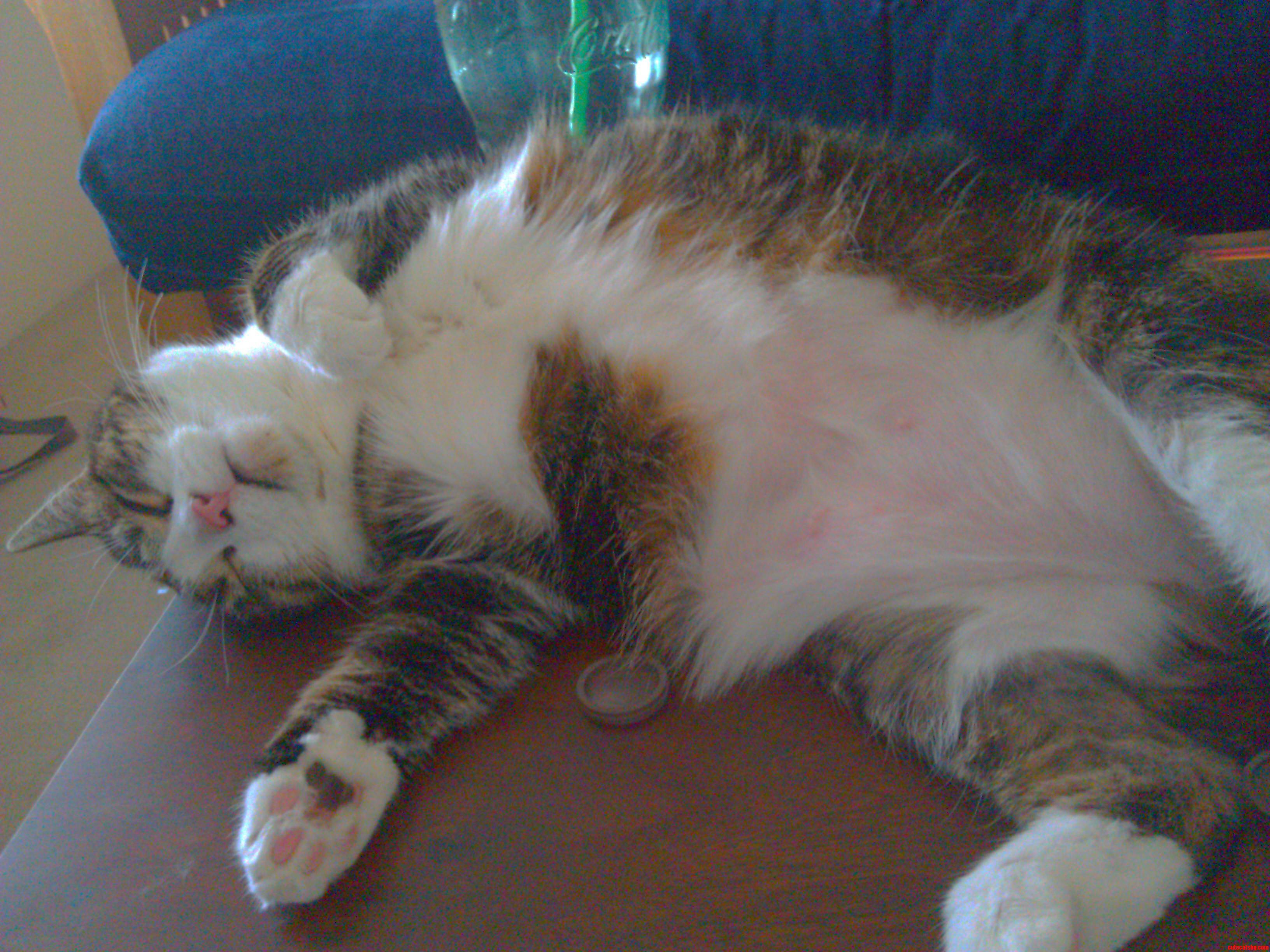 So Comfy.
