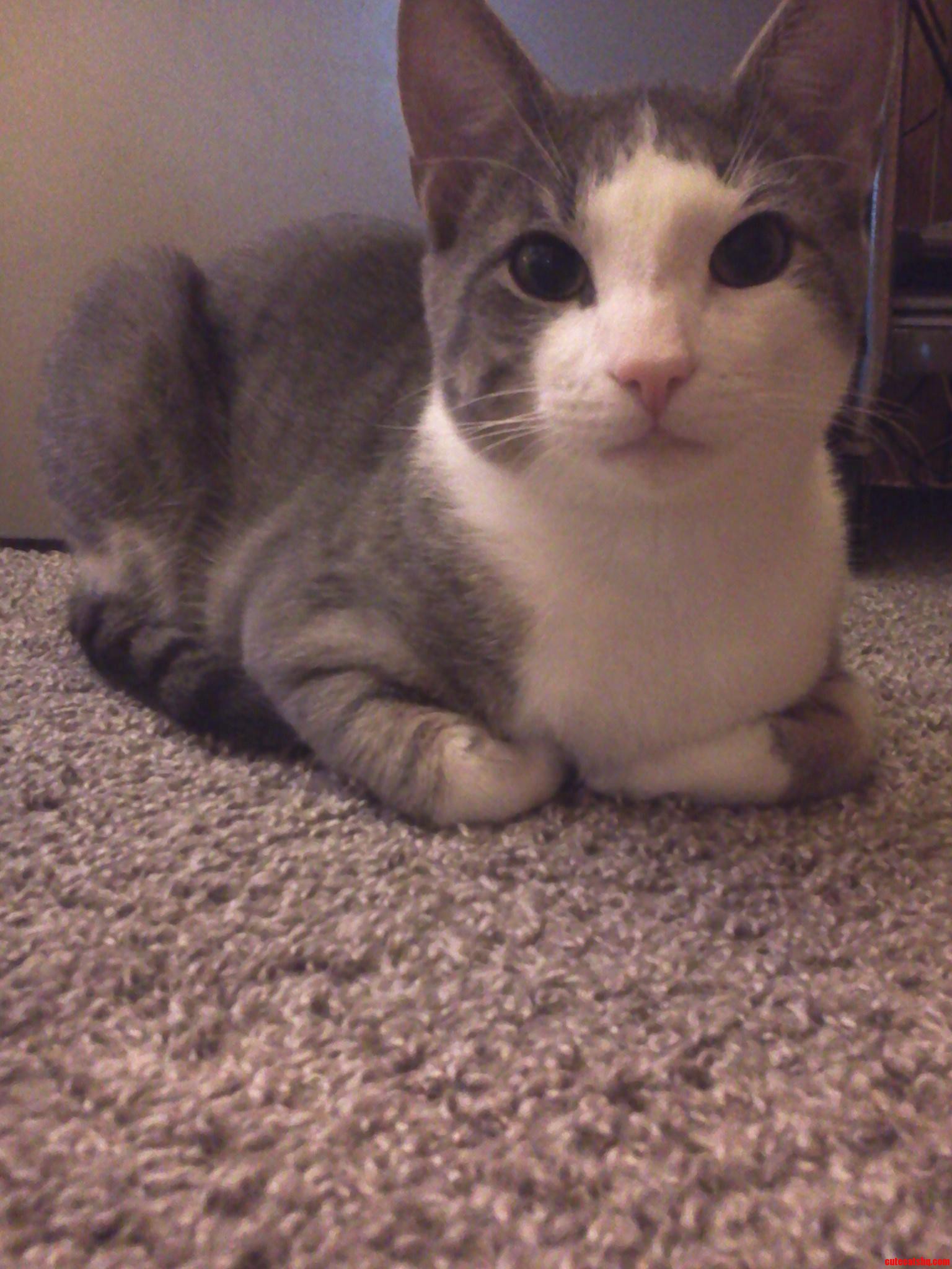 Such a Handsome Boy.