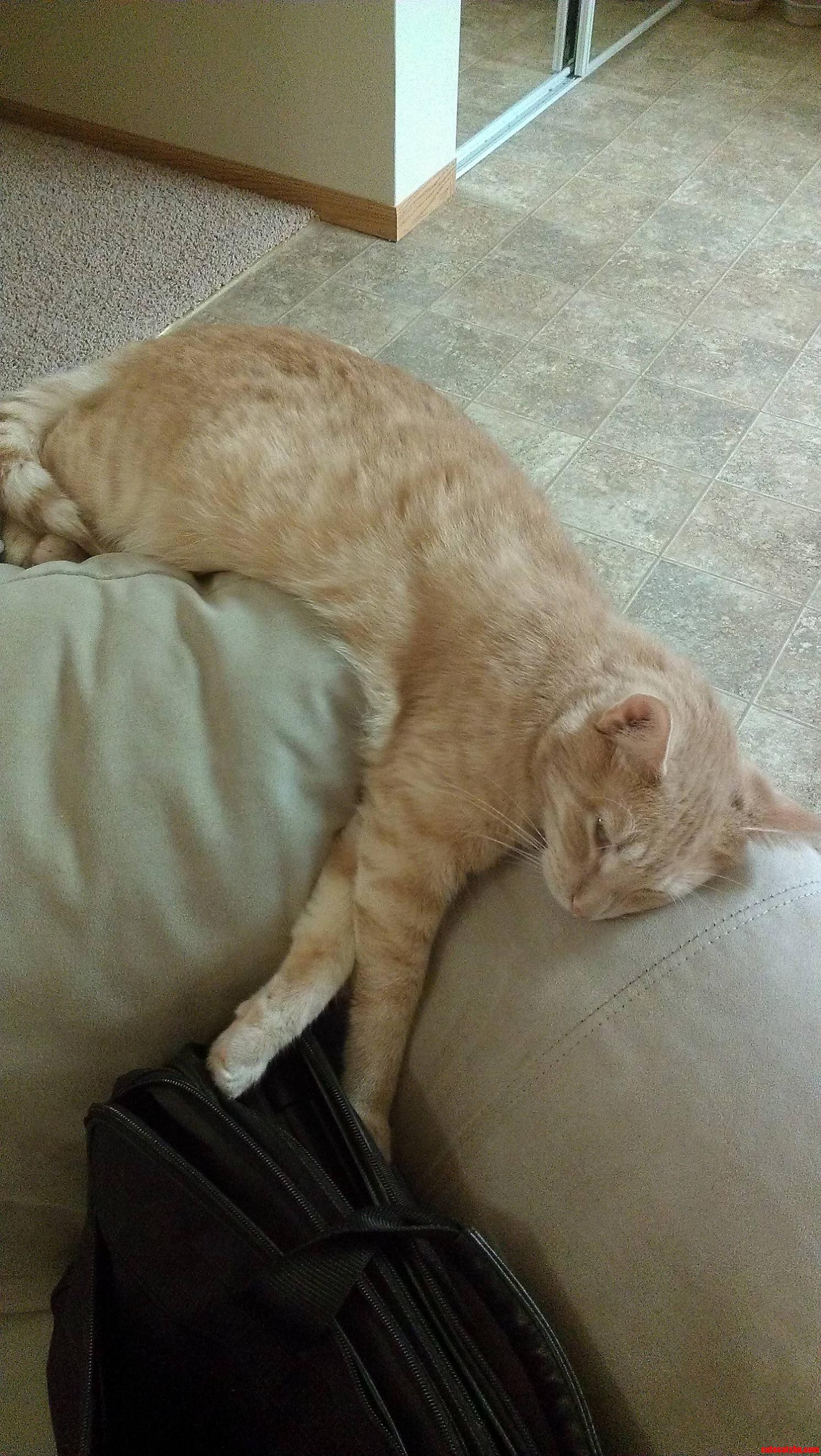 Such a Rough Life.