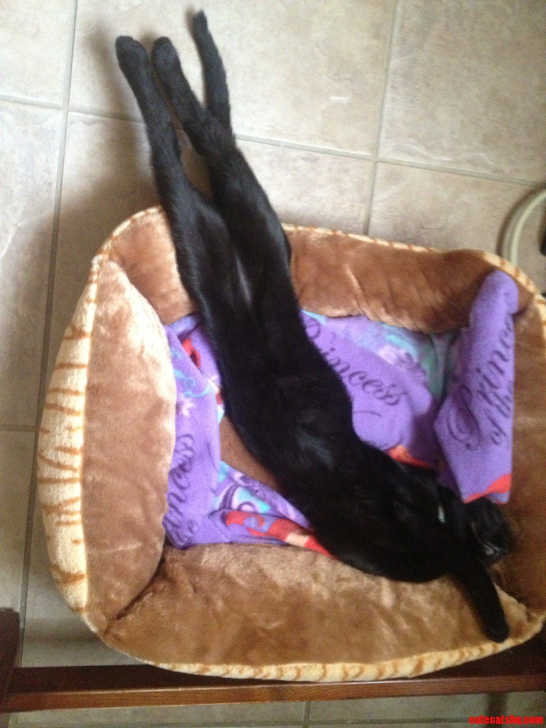 That's One Way to Sleep
