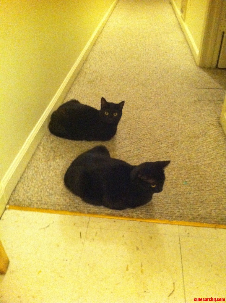The Girls Are Sitting the Same Again. This Time  Waiting for Daddy to Come Out of the Shower.