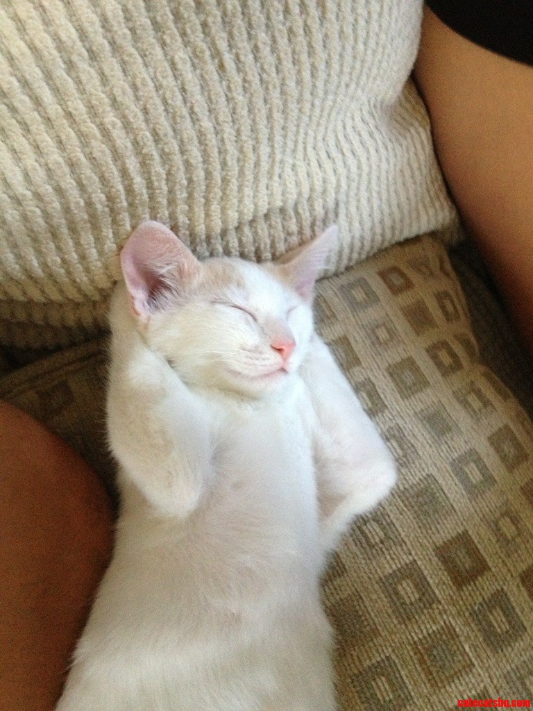 The Good Life.