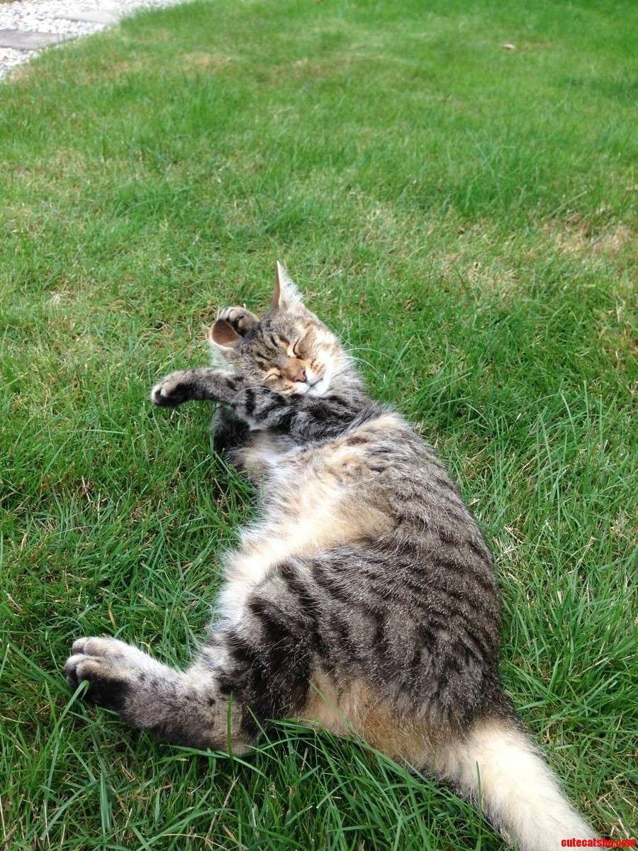 The Grass Is a Great Place to Wash