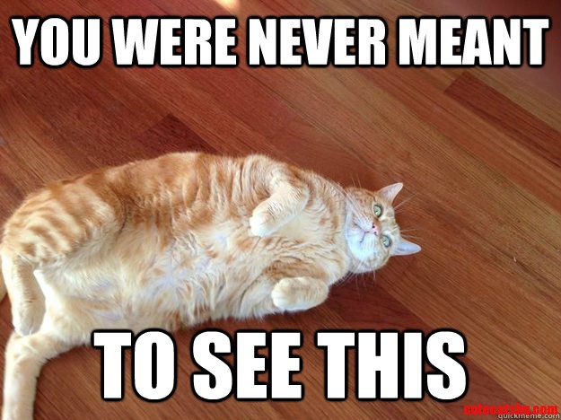 The Guilty Look My Cat Gets Every Time I Enter a Room