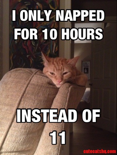The Struggle Is Real
