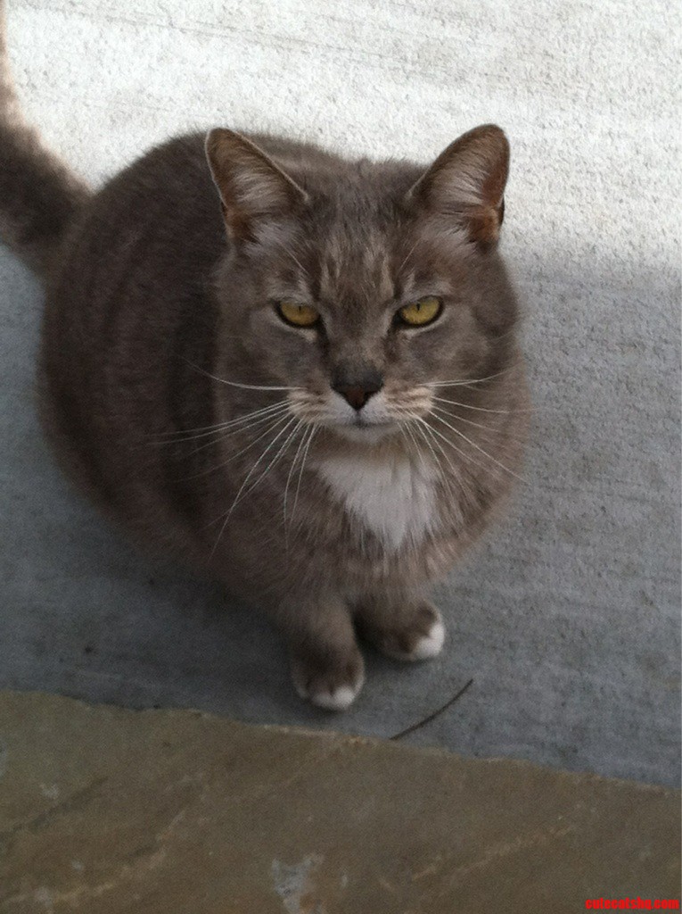 This Guy Turns 17 Today.