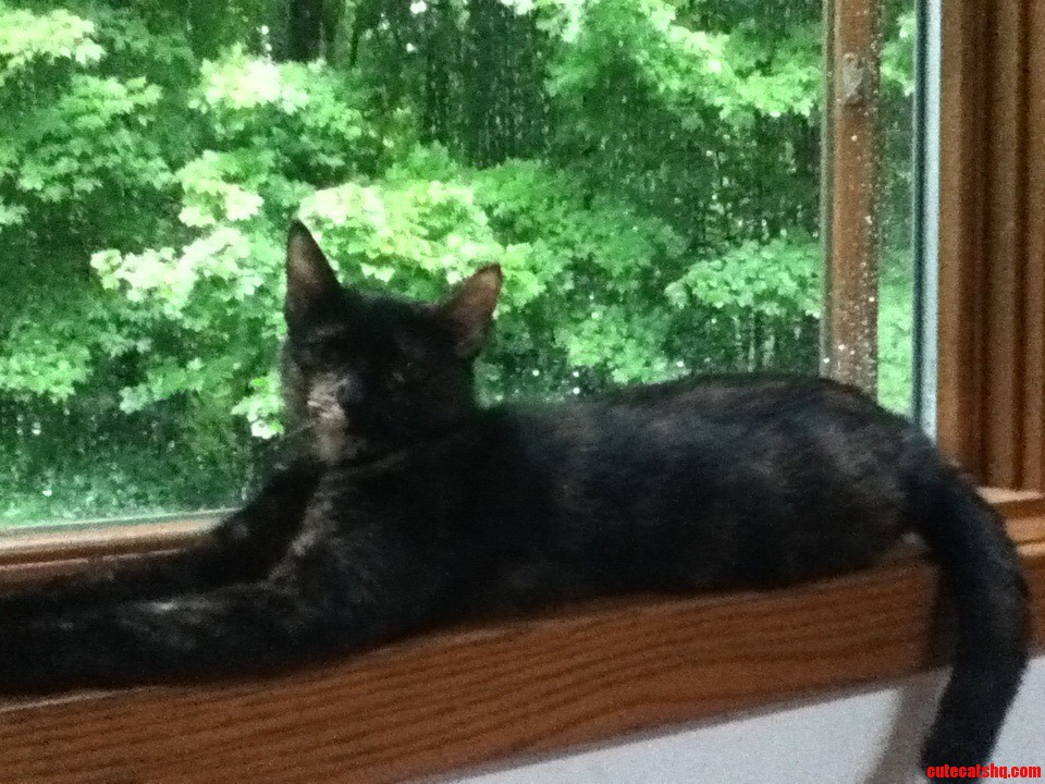 This Is Bee  She Turned One This Month