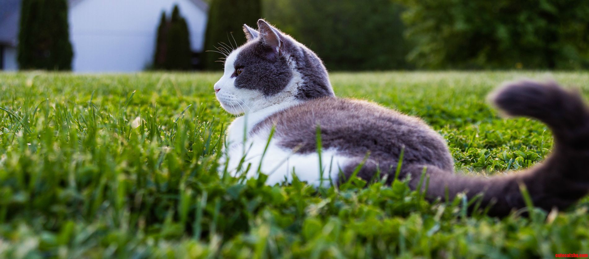 This Is Blue He's 16 and My Bud.