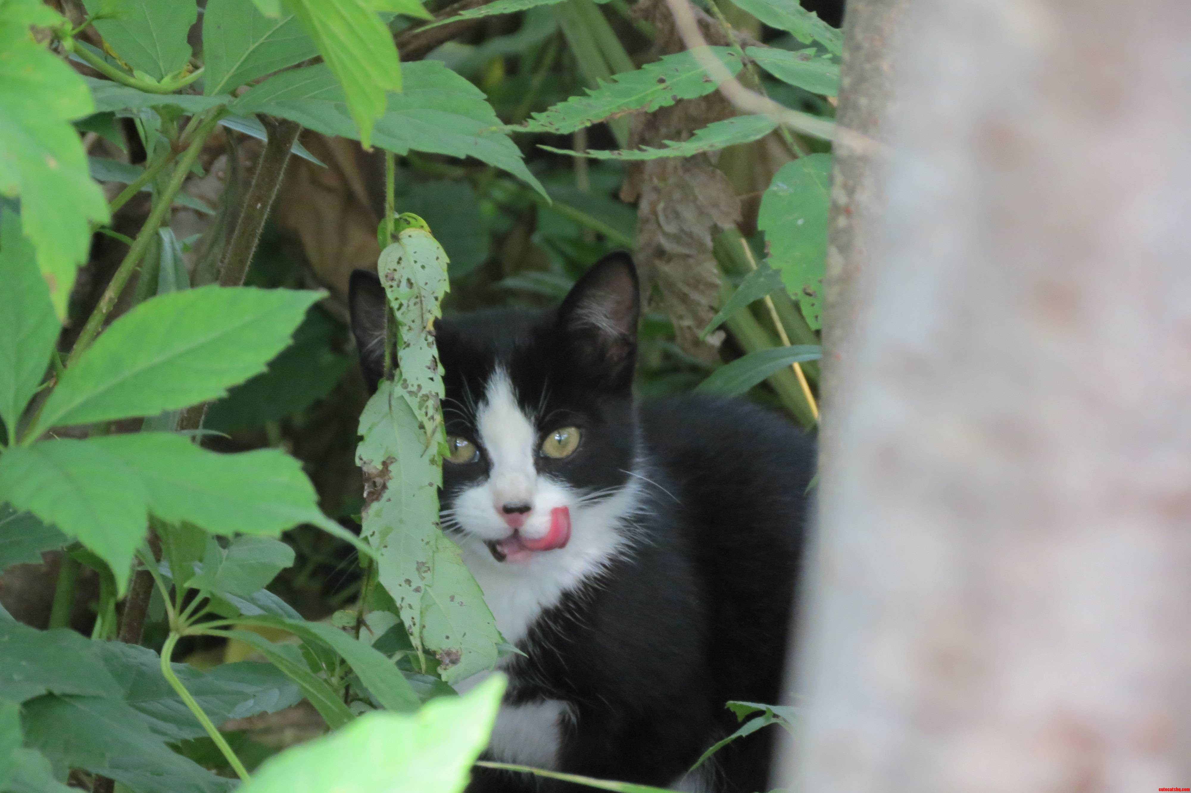 This Little One Was Abandoned Near Our House