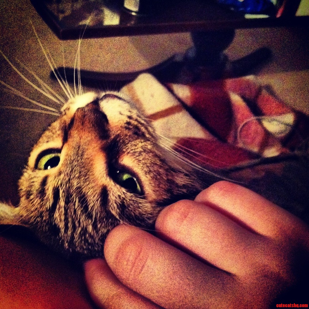 This Pretty Girl Finally Warmed Up to Me.