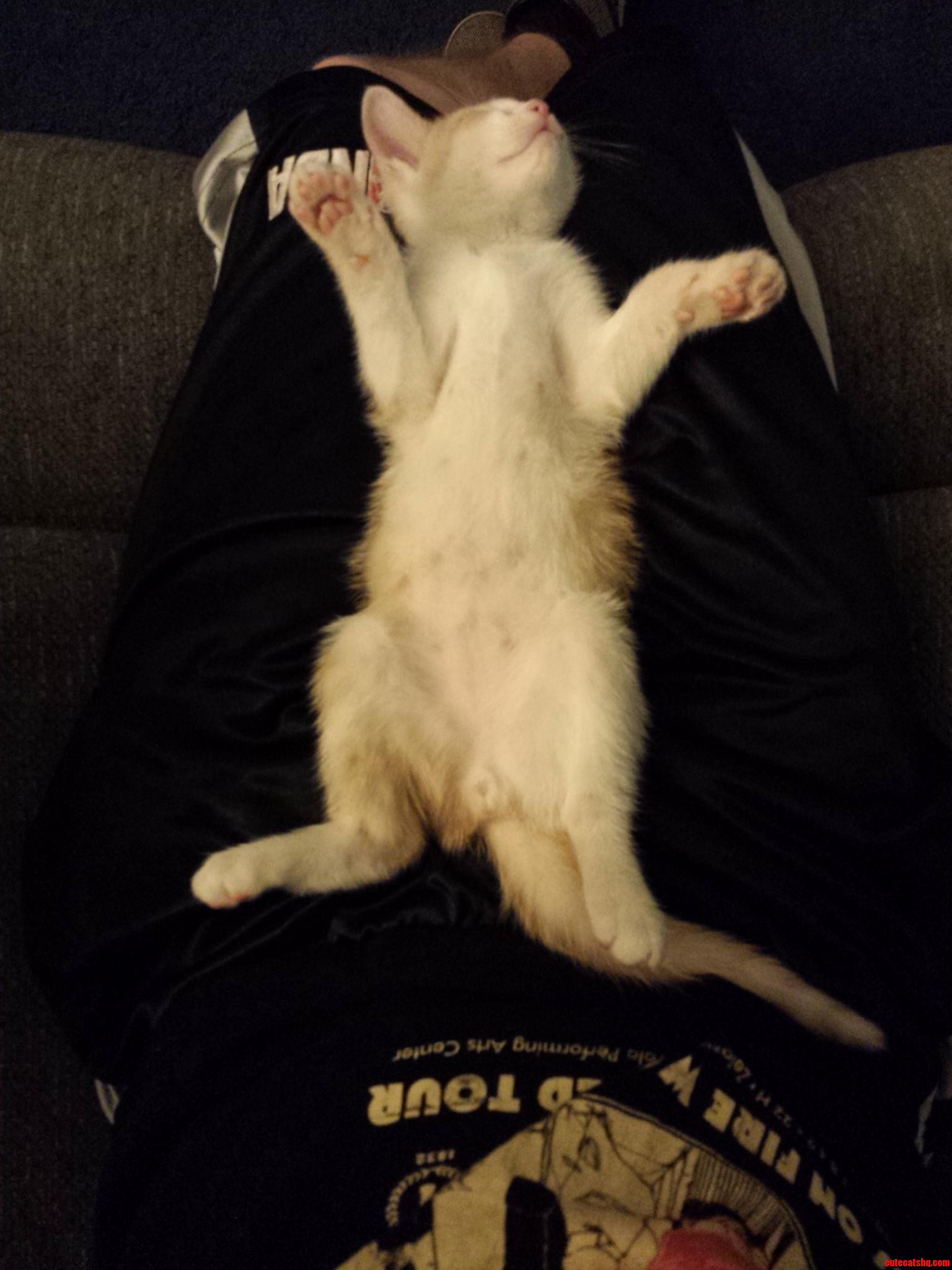 This Little Guy Knocked Right Out After Running Around All Day