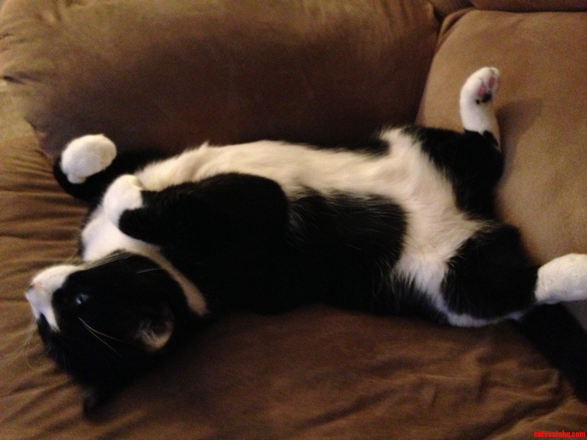 Watching Tv