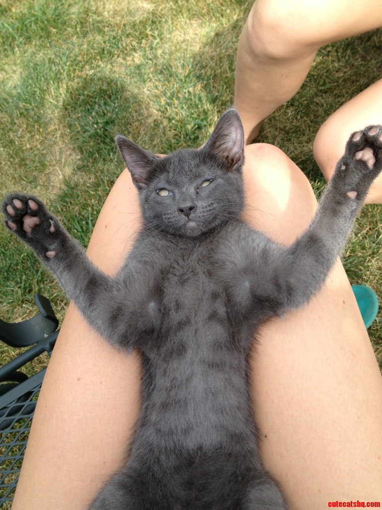 We Found a Stray Kitten That Loves Laying on Her Back