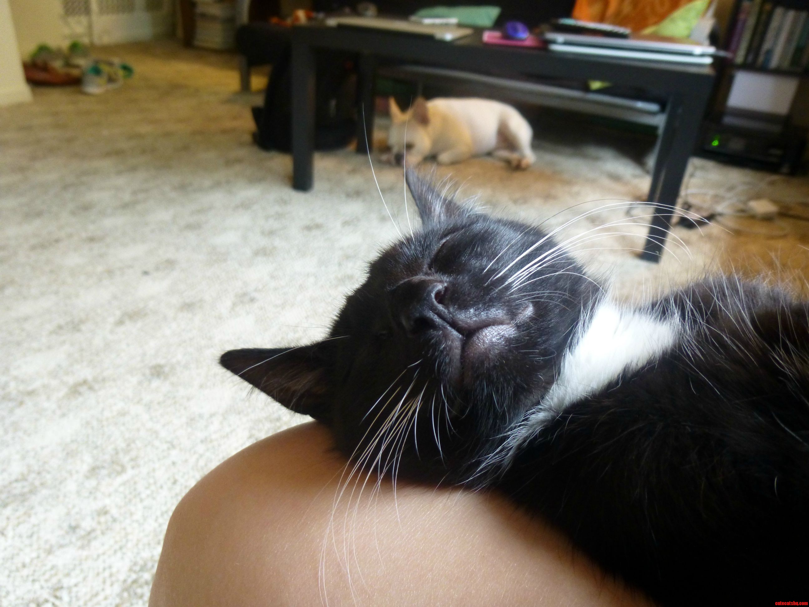 Well I Guess I'm Not Going Anywhere Anytime Soon..