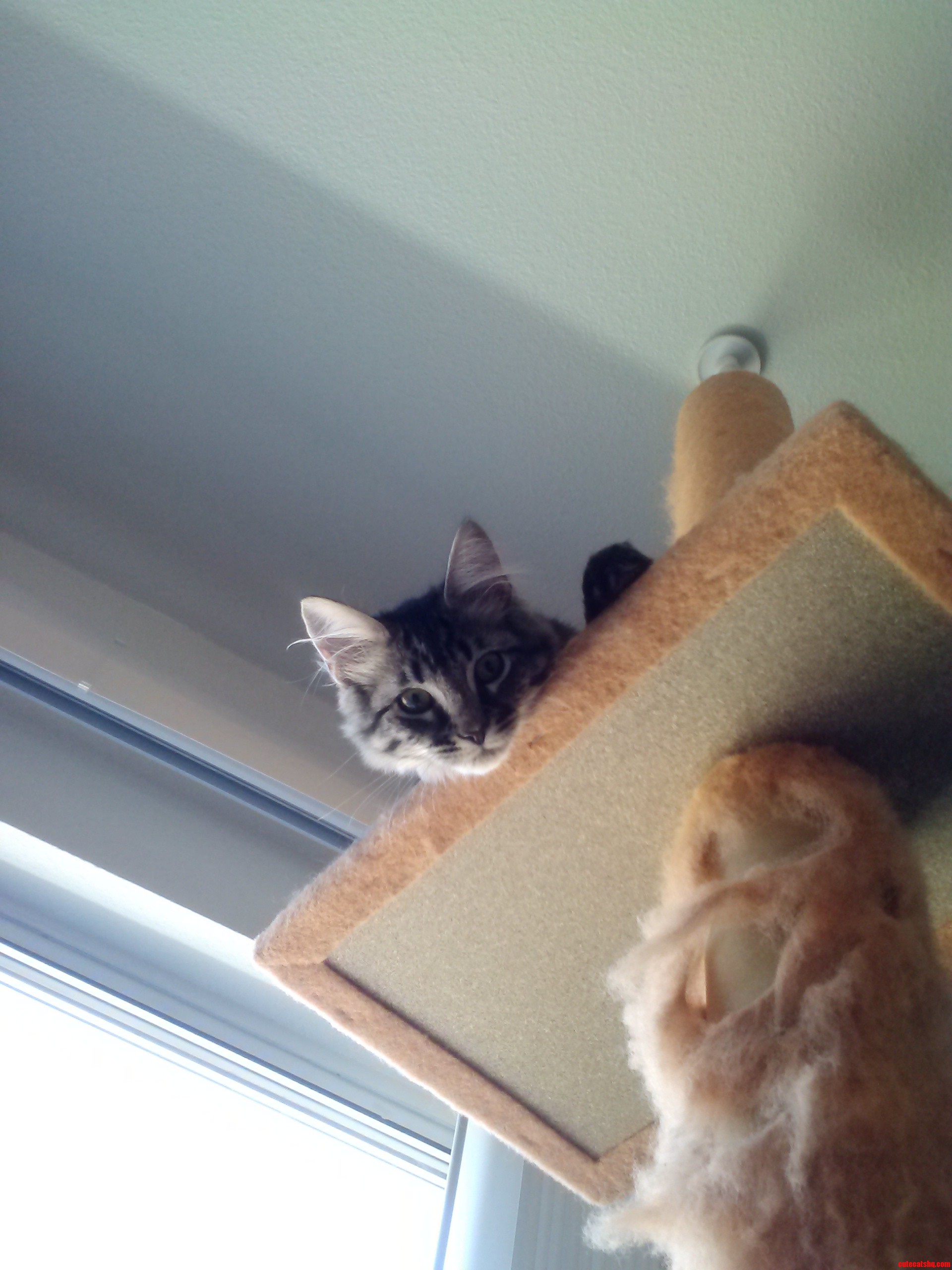 What Ya Doing Down There