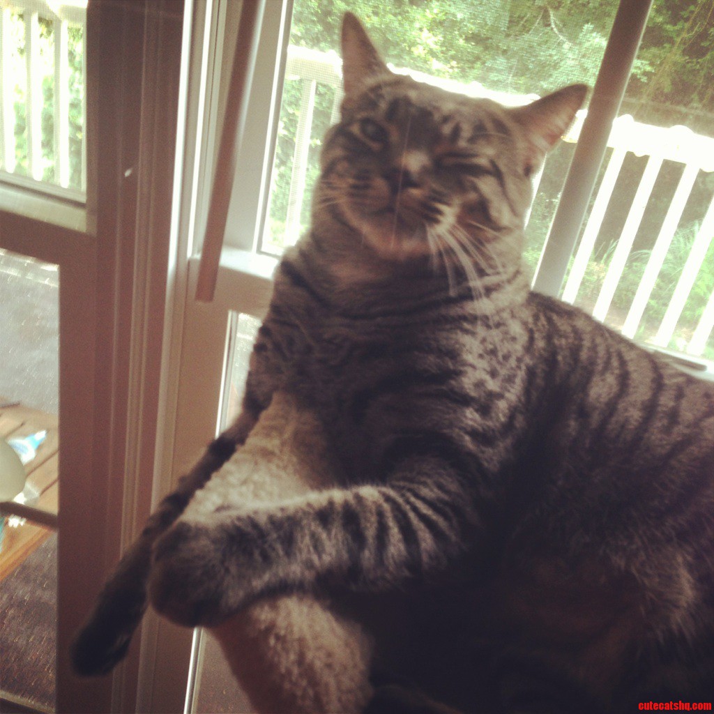 When I Fail to Feed Him on Time I Get the Stink Eye