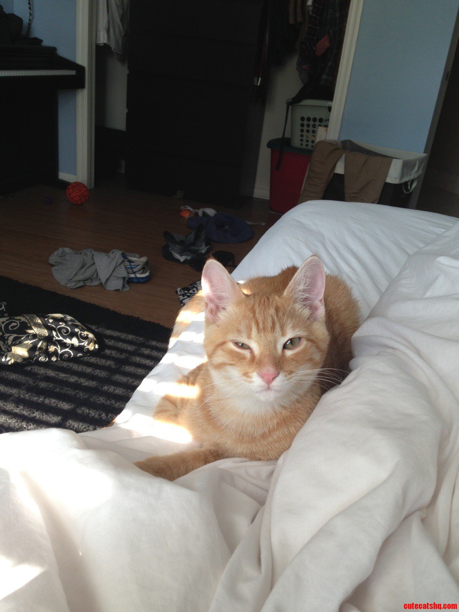 Who Dares Disturb My Slumber
