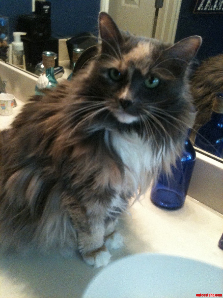 Whos a Pretty Kit- Turn on the Sink  Peasan