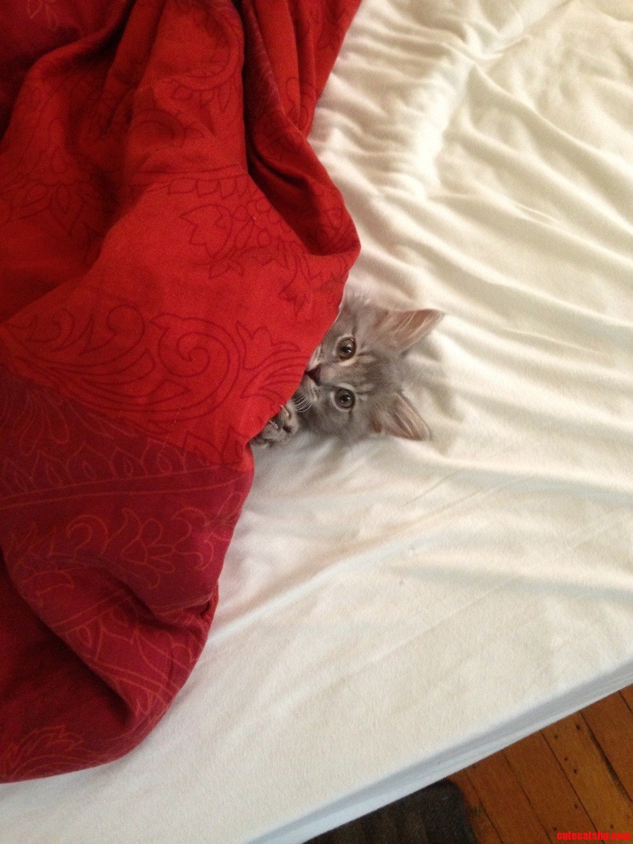 Will You Tuck Me in