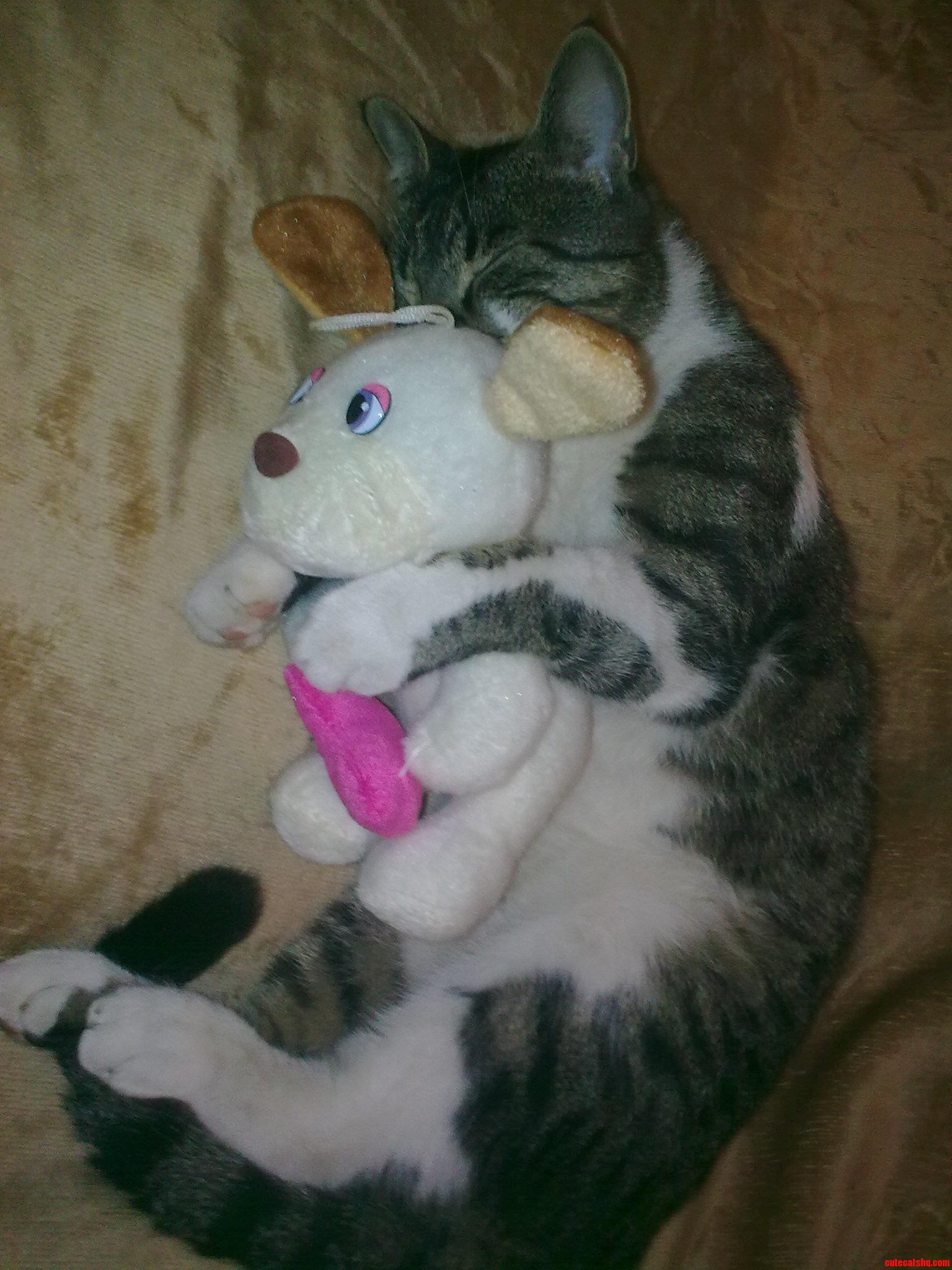 Woke Up in the Morning and Saw This Lol