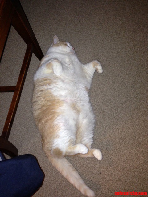 Zero Effs Given While Sleeping.