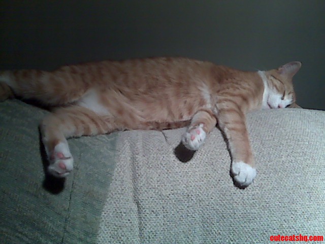 Down for the Count