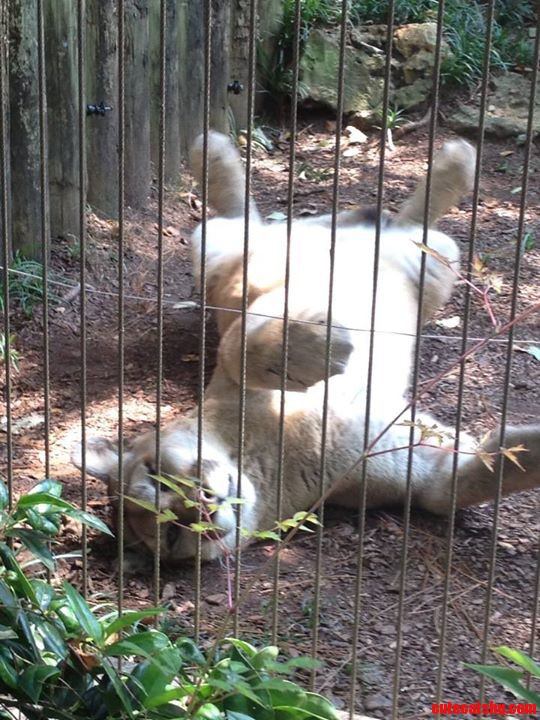 Draw Me Like One of Your French Girls Dude