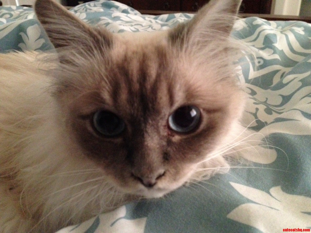 This Little One Wakes Us Up at the Crack of Dawn for Attention D