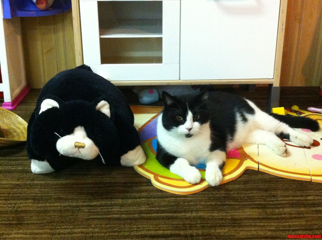 About the Same Size