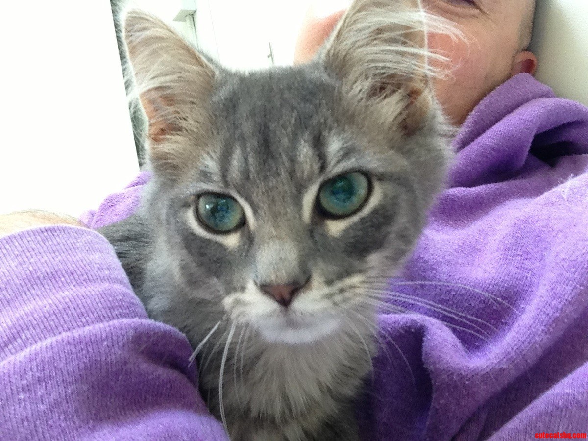 Adopted 3 Little Kittens Today- This One Still Needs a Name.