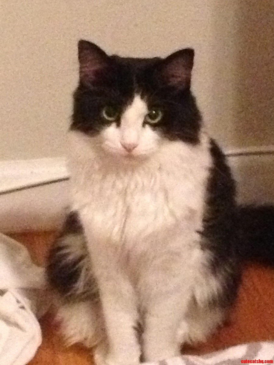 All It Ever Does Is Just Sit and Stare at Me.