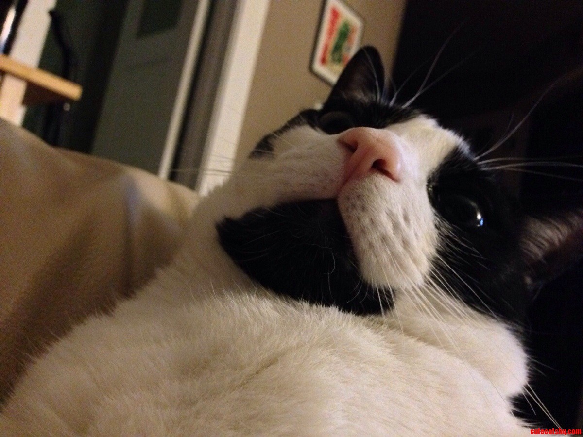 And Then He Sneezed on Me.