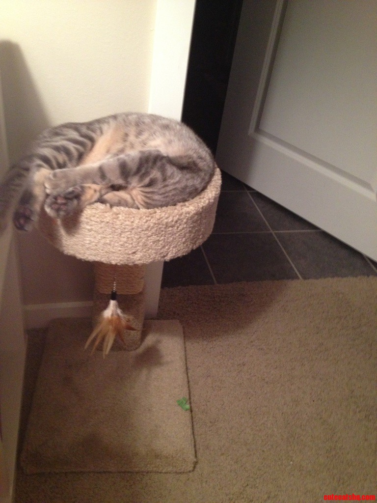 Are You Comfortable