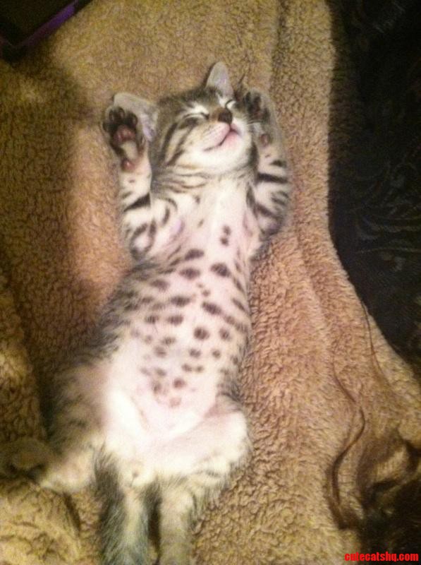 Belly Spots