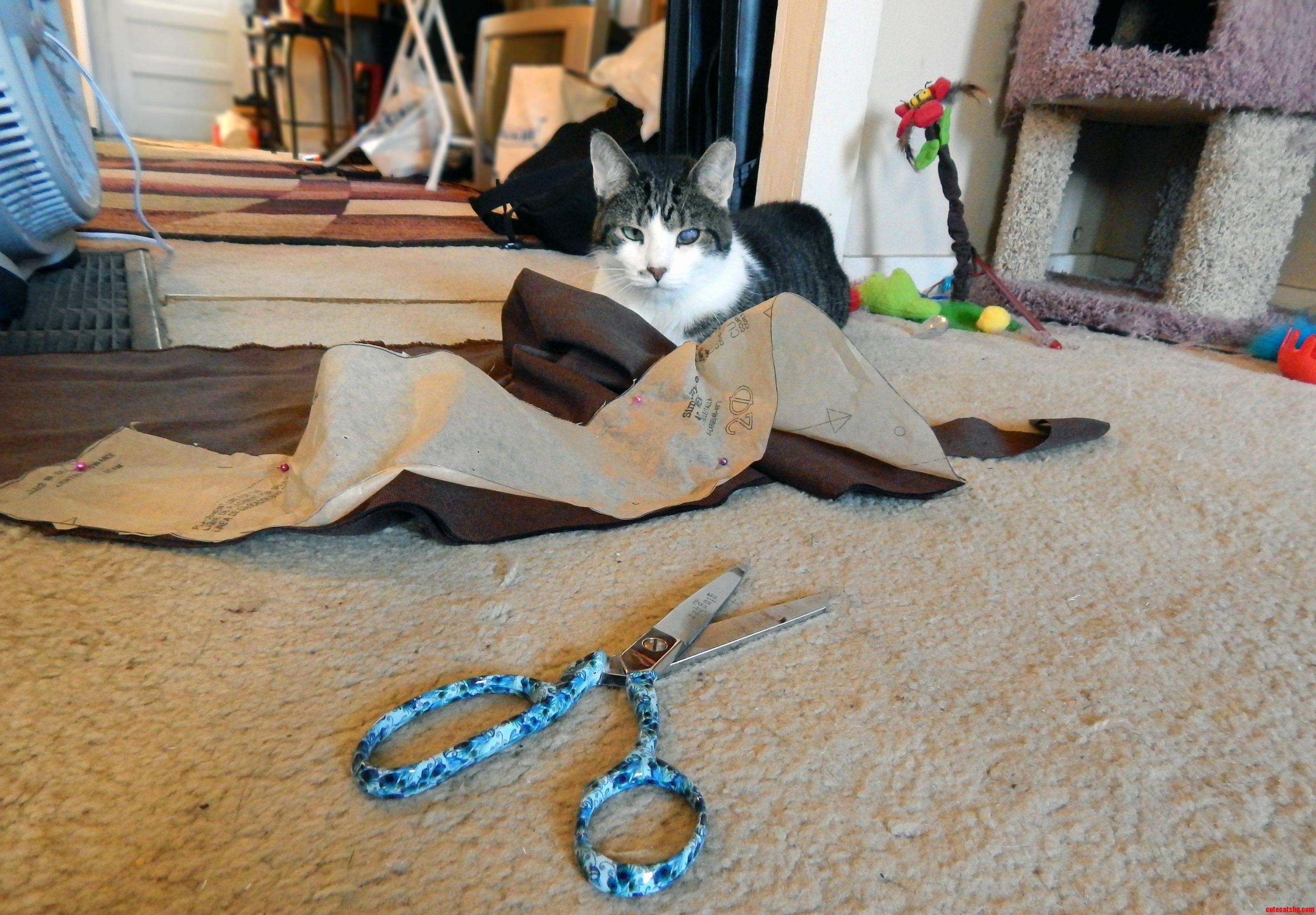 Bianca Is Helping Me Sew.