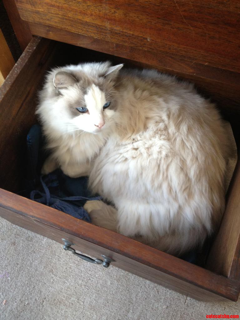 Busted in the Linen Drawer  Lucky Hes Beautiful