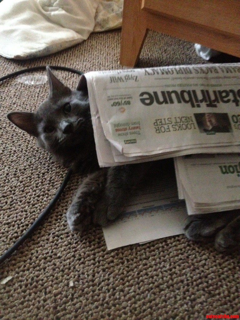 Came Home to Find Him Like This.