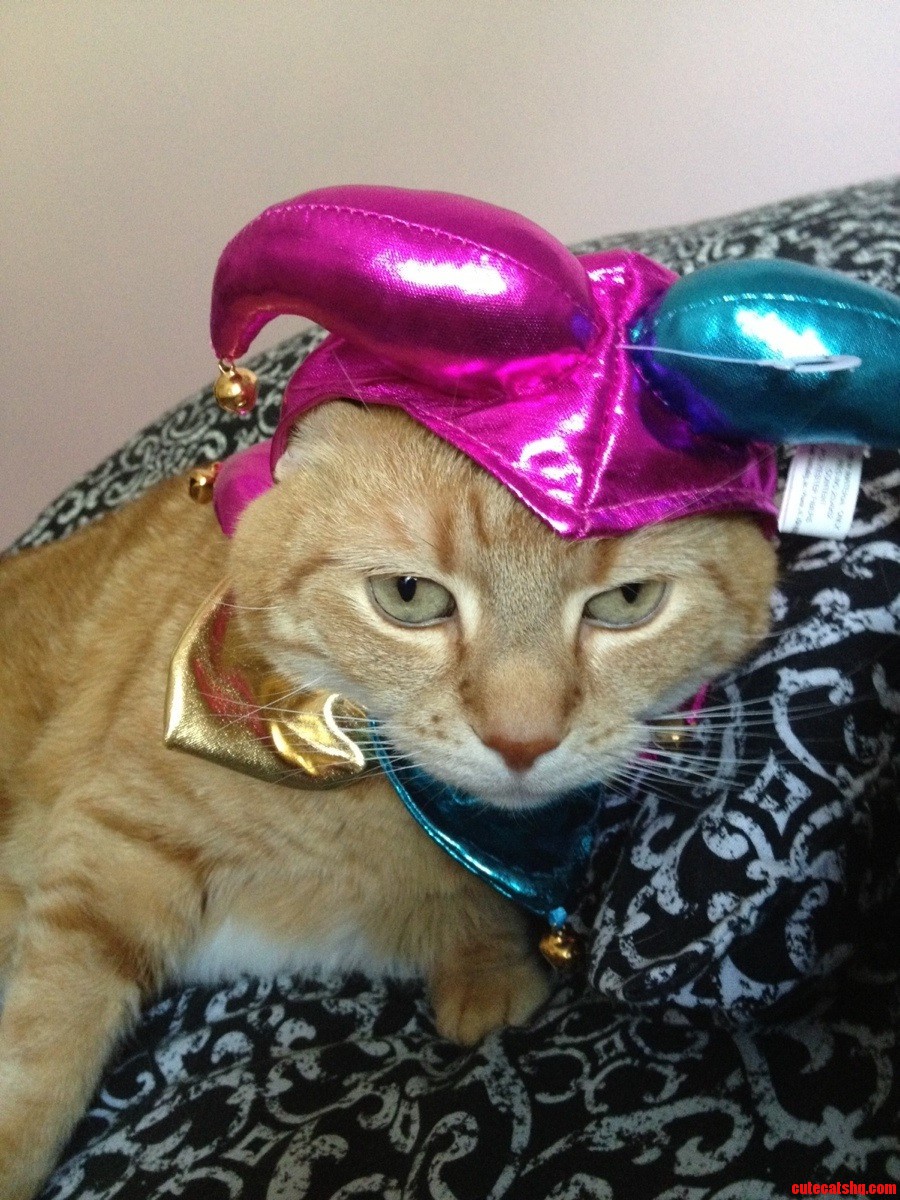 Caramel Is So Excited About Her Halloween Costume