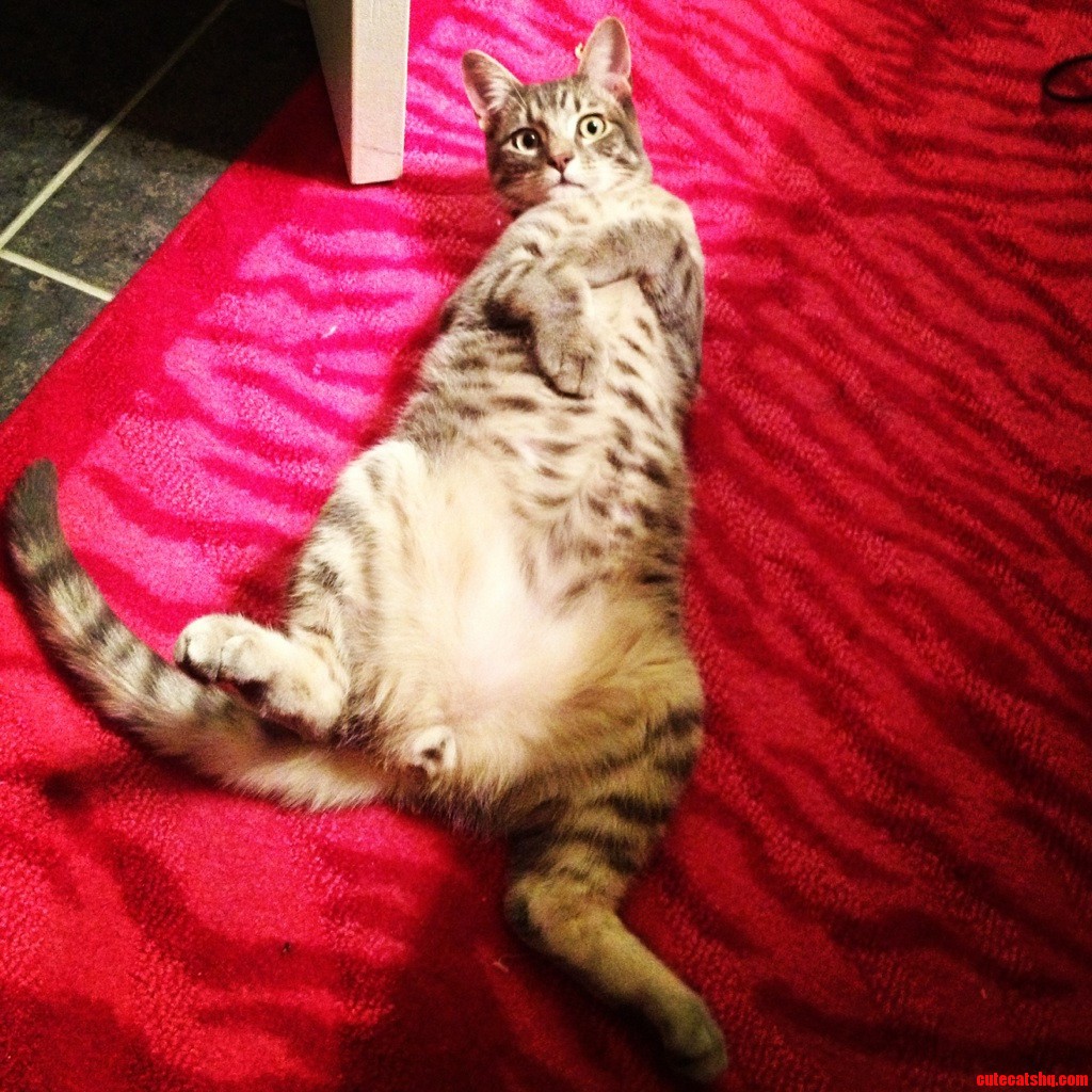 Casual Pose