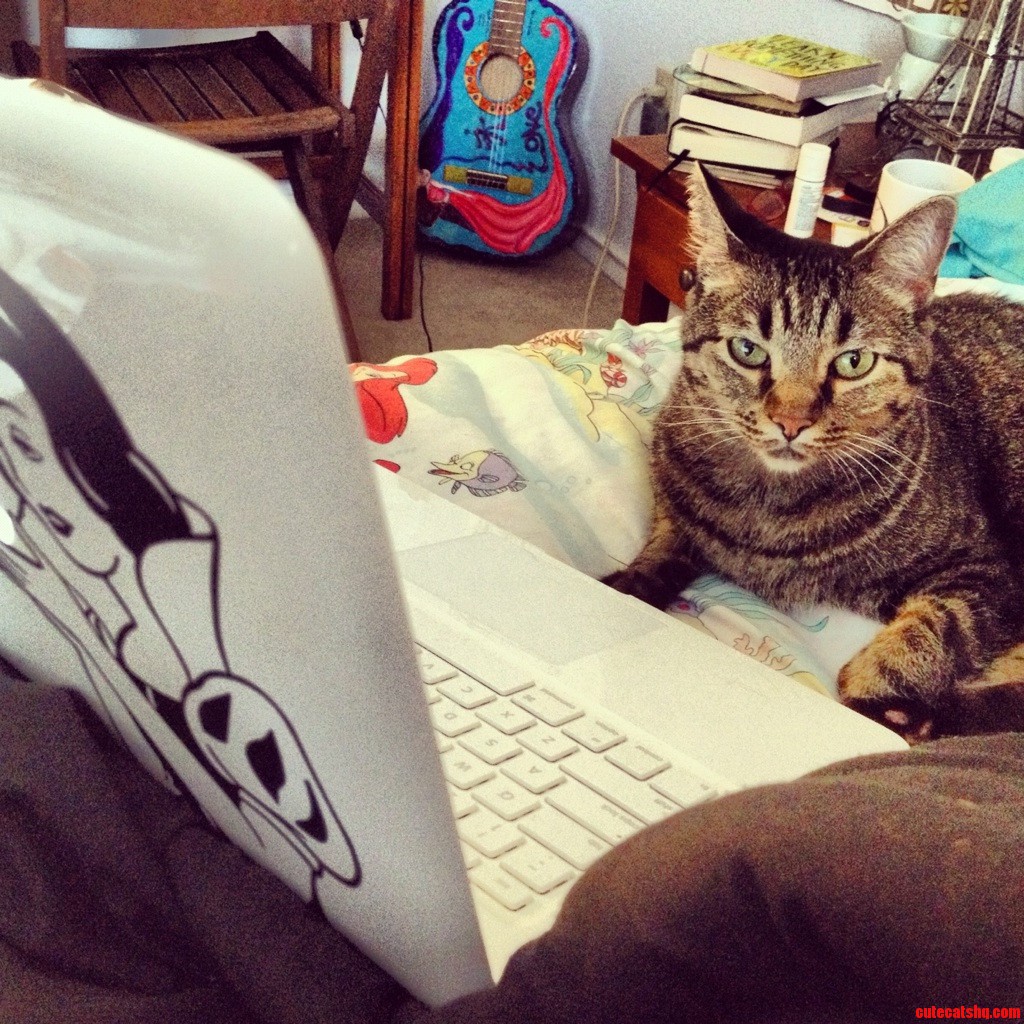 Caught Her Browsing Lolcats  She Didnt Think It Was So Lol