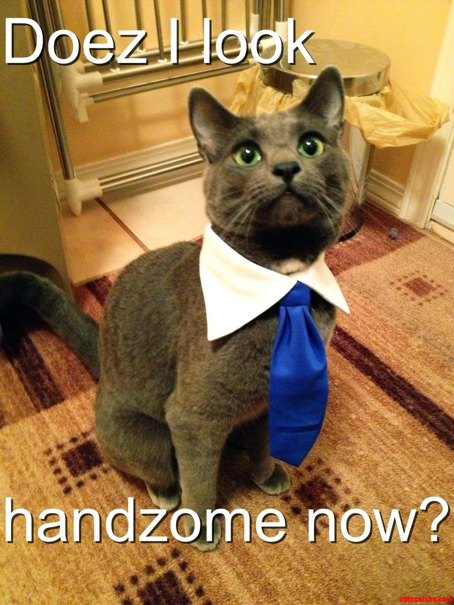 Cause Every Girls Crazy Bout a Sharp Dressed Man.