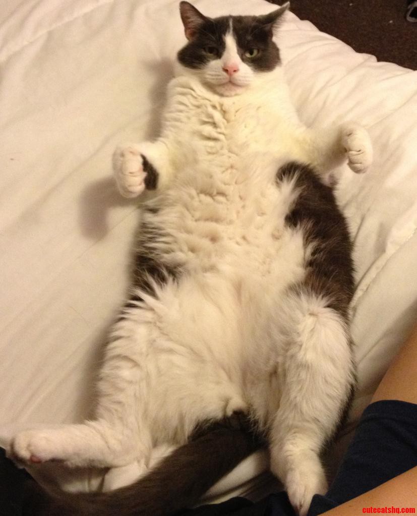 Chesters Ready for Some Snugs