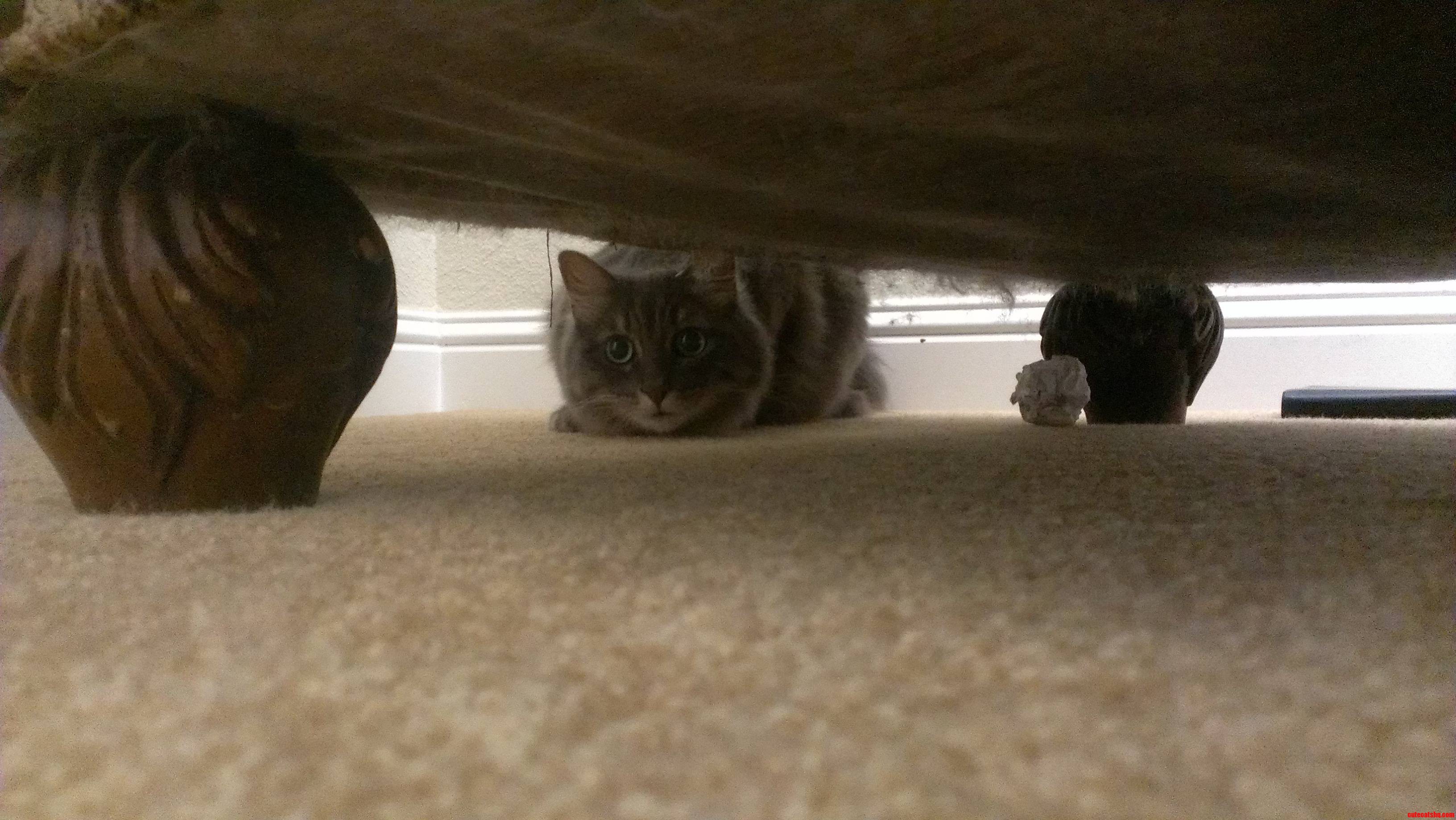 Completely Oblivious or Super Focused