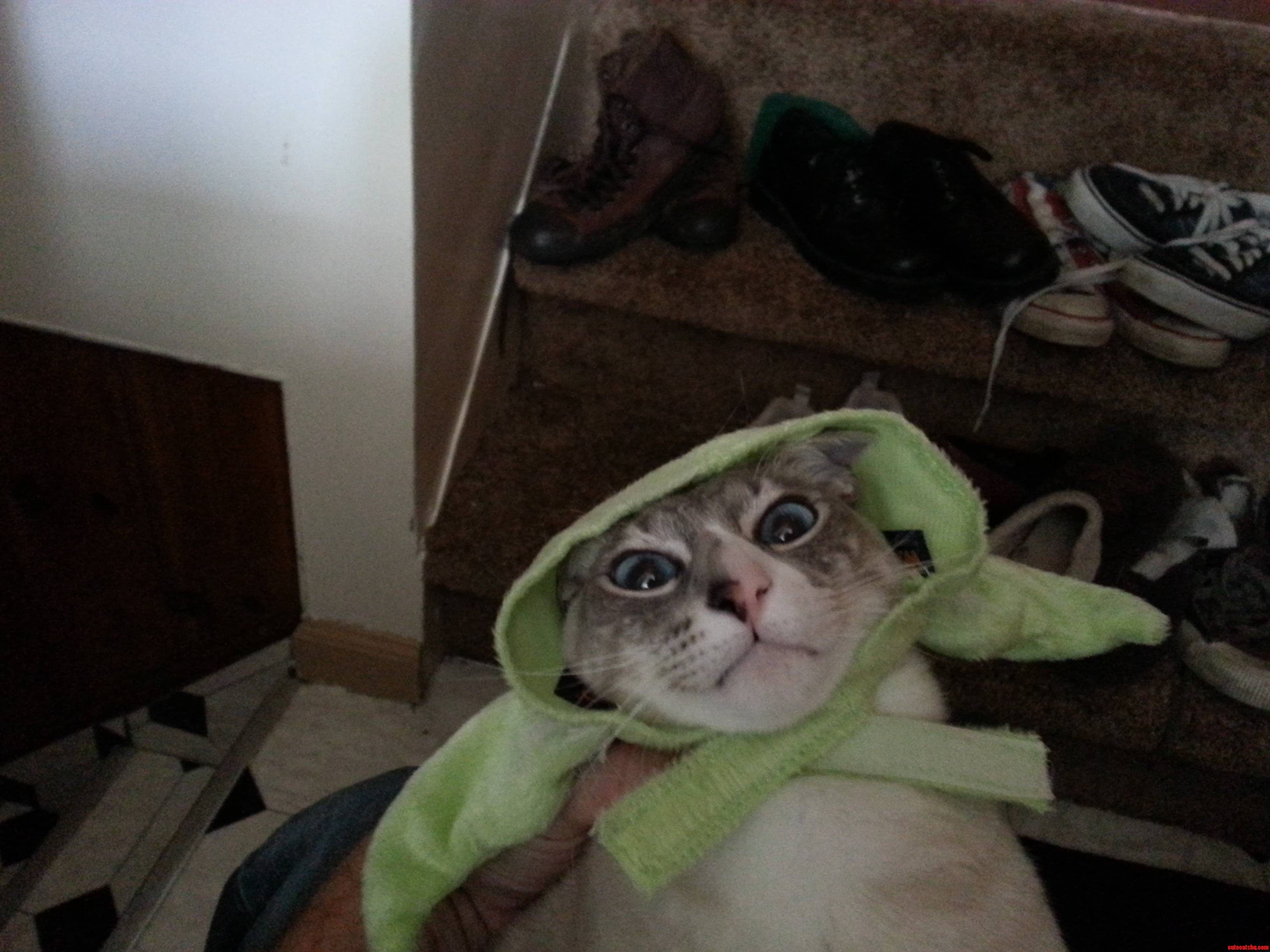 Costumes  He Cares Not For.